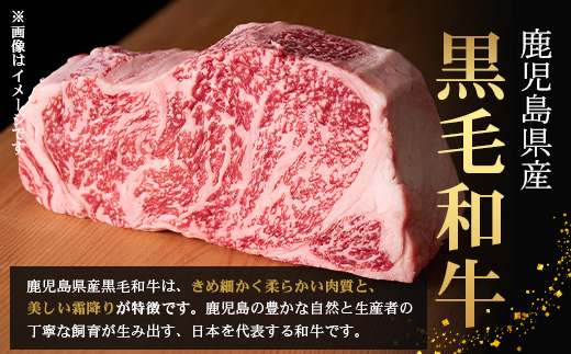鹿児島県産 黒毛和牛 ≪レトルト≫ 和食料理人の手作り ハンバーグ（100g×6個）GN-5｜鹿児島県 南大隅町 ハンバーグ 牛肉 手作り レトルト 銀シャリ中はら