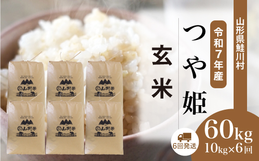 ＜令和7年産米＞ 山形県産 特別栽培米 つや姫 【玄米】60kg定期便(10kg×6回)　配送時期指定できます！