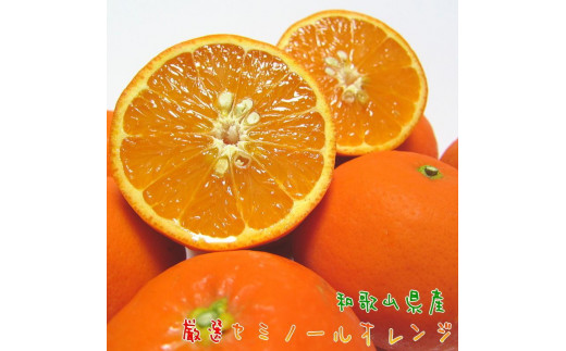 
                  特選 セミノールオレンジ 約1.5kg［先行予約・2027年4月～発送］［MS59］
                