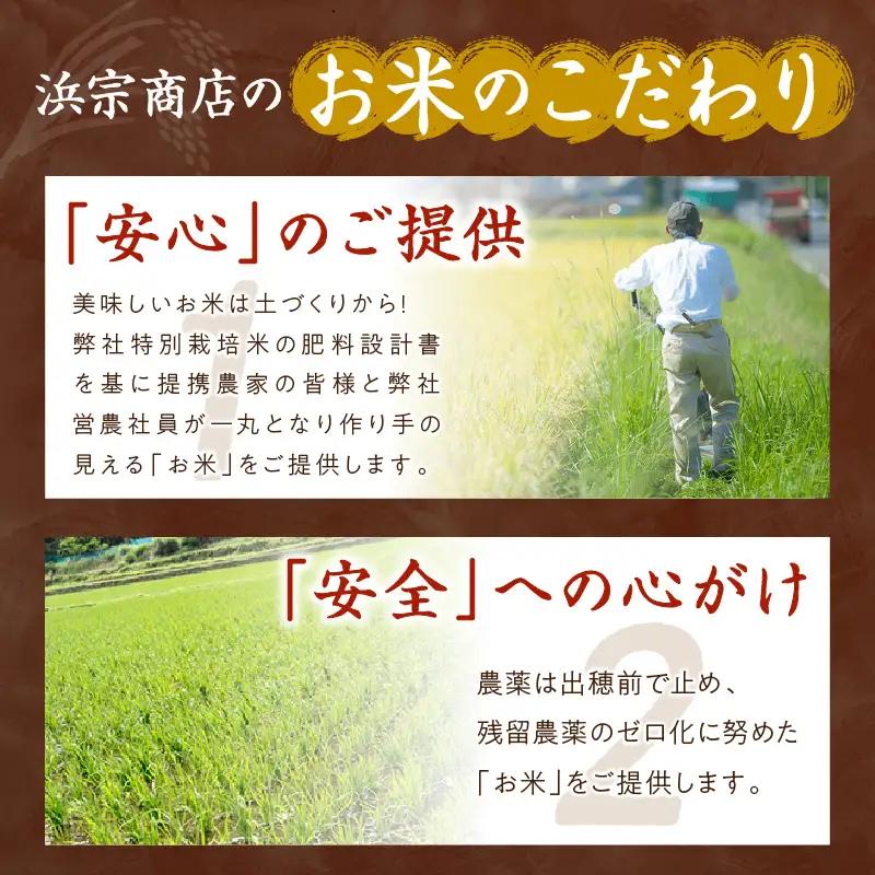 無洗米／	京都・丹後コシヒカリ 無洗米 5kg ＜創業1720年老舗米問屋がお届けする 無洗米 ＞ 作り手が見えるコシヒカリを無洗米に！ 米 無洗米、新米 無洗米、令和6年産 無洗米、お米 無洗米、こ