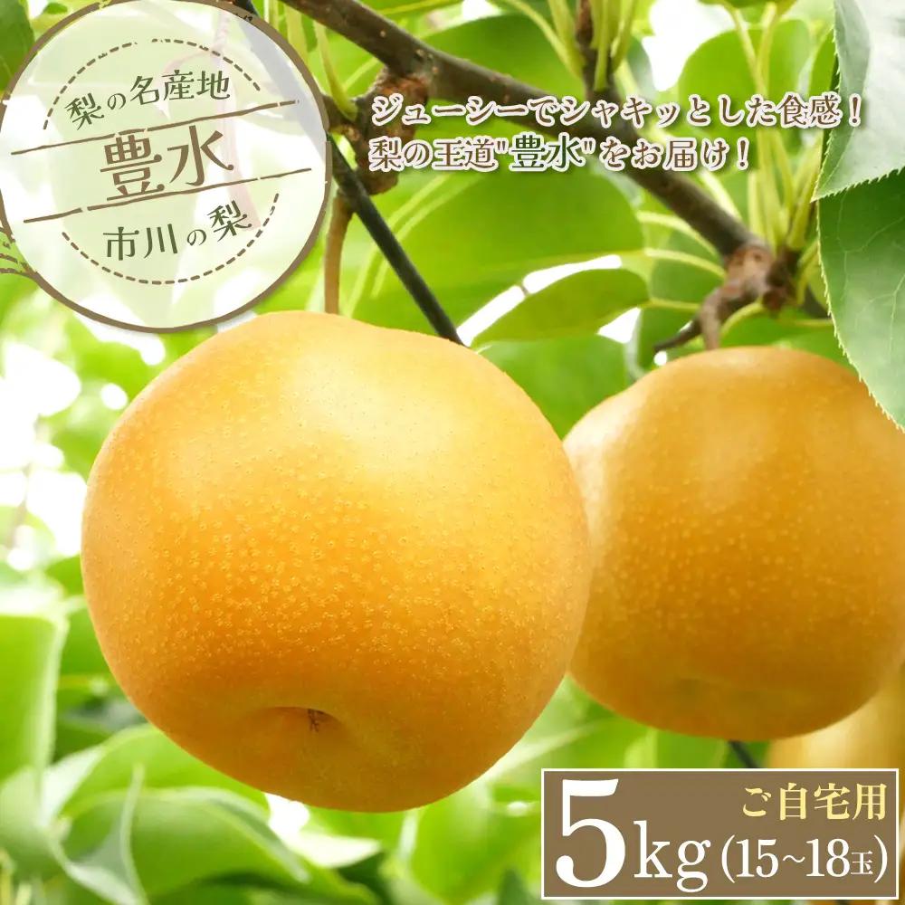 市川の梨　ご自宅用　豊水【5kg】小玉（15～18玉）　【12203-0323】