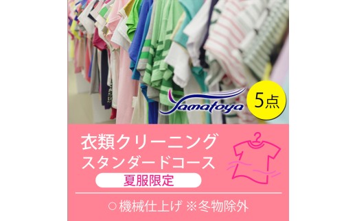 衣類の宅配クリーニング スタンダードコース 夏服限定 5点詰め放題 保管あり クリーニング ハンガー仕上げ 送料無料 ダウン ワンピース シミ抜き無料 安い 洗濯 安心 毛玉取り 撥水加工 防虫 抗菌 除菌 引っ越し 衣類 お得 早い ヤマトヤクリーニング 糸魚川