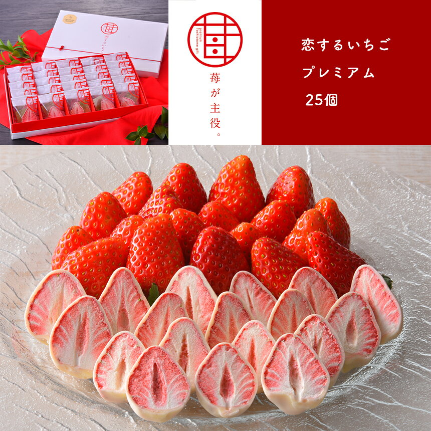 【ふるさと納税】苺が主役。 恋するいちごプレミアム 25個 ｜ いちご お菓子 チョコレート 特産品 栃木県 真岡市 送料無料 フリーズドライ お菓子 洋菓子 人気 かわいい オシャレ ストロベリー チョコ スイーツ