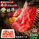 【ふるさと納税】【全12回定期便】 牛肉 愛姫牛 ロース 焼肉 用400g（ 2人前 ）牛肉 定期便 ステーキ お肉 国産肉 焼肉 送料無料 \レビューキャンペーン中/愛媛県大洲市/有限会社 木村屋精肉店[AGCC051] 334000 334000円 三十三万四千