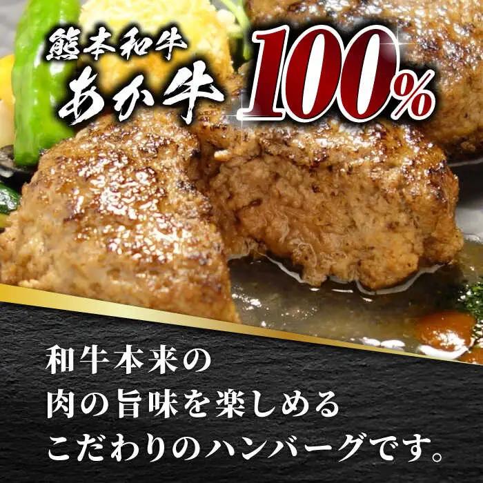 【全12回定期便】あか牛 100％ハンバーグ セット 120g×6個【有限会社 三協畜産】 国産 赤身 赤牛 褐牛 あかうし [ZEB083]