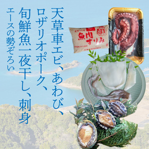 S059-010A_天草わくわくボックスデラックス / 車エビ あわび ロザリオポーク 魚刺身 一夜干し