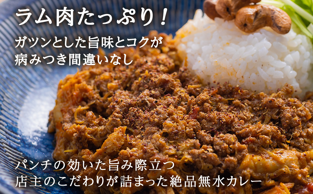 175DENOスパイスラムカレー 6袋（無水カレー180g×6）