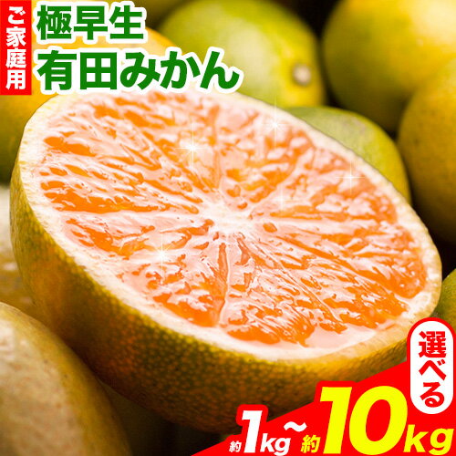 【ふるさと納税】家庭用 極早生有田みかん 1kg 2.5kg 5kg 10kg 各＋250g (傷み補償分)【YN26・ゆら早生】【わけあり・訳あり】池田鹿蔵農園（池田農園株式会社）《10月上旬-11月中旬頃出荷》和歌山県 日高町 みかん 有田みかん 配送不可地域あり】