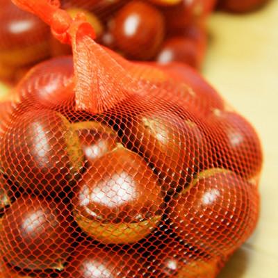 ふるさと納税 丹波篠山市 丹波篠山産熟成丹波栗 L以上混在 1kg |  | 01