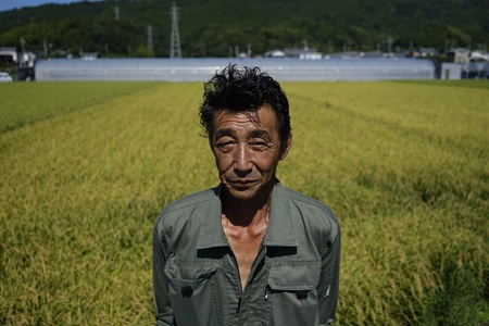 コシヒカリ 米 5kg こしひかり 令和7年産 精米 AS011