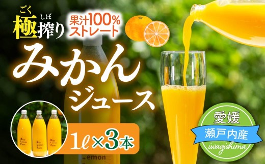 愛媛　ブルーレモンファームのごくしぼりみかんジュース　1L　3本