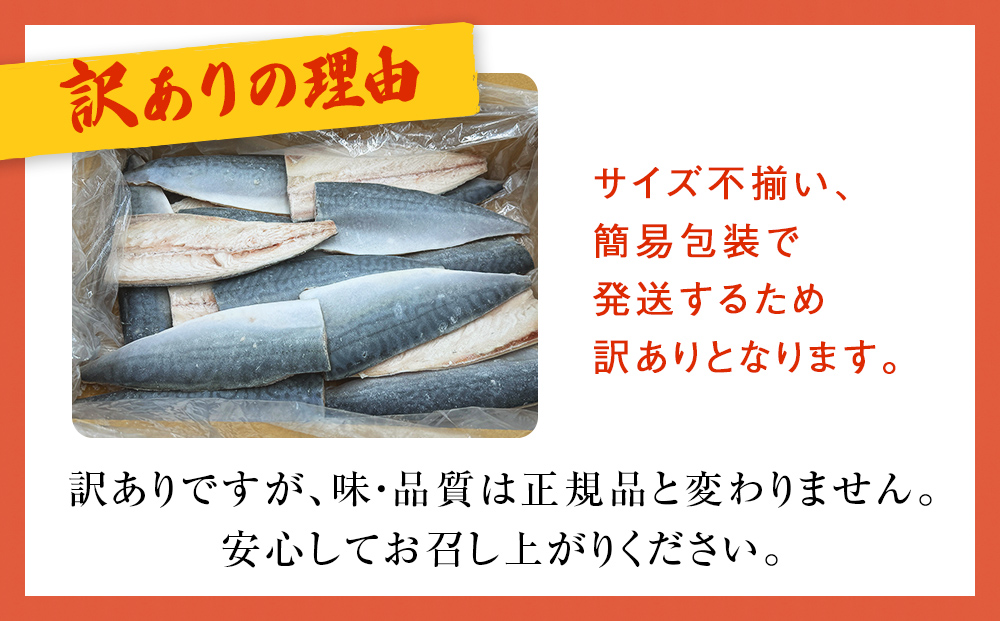 さば 〈 訳あり 〉1月配送 宮城県産 寒さば フィーレ 無塩 1.5kg 冷凍　魚 青魚 鯖 切身 焼魚 煮魚 わけあり 不揃い ご家庭用 食塩無添加 国産 鯖フィレ サバフィーレ 切り身 バラバラ