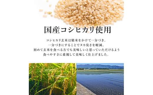 こしひかり 玄米ごはんパック 120g 24個 玄米 米 お米 ごはん ご飯 こめ パックライス パックご飯 パックごはん ご飯パック ごはんパック パック ライス 備蓄 保存 非常 防災 電子 レン