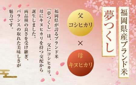 《令和7年産》 福岡県産 夢つくし 精米 10kg （5kg×2袋） こめ コメ ごはん ご飯 コシヒカリ キヌヒカリ 白米 令和7年度米 単一原料米 ブランド米 福岡県 うきは市 常温