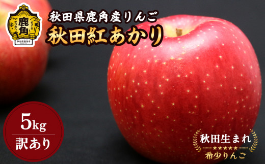 《先行予約》訳あり 秋田県鹿角産 りんご 秋田紅あかり 家庭用 5kg（13～18玉入）【山麓園】食感 果汁 リンゴ 完熟 旬 県産 りんご お中元 お歳暮 贈り物 グルメ ギフト 故郷 秋田 あきた 鹿角市 鹿角 送料無料 ●2024年11月上旬発送開始