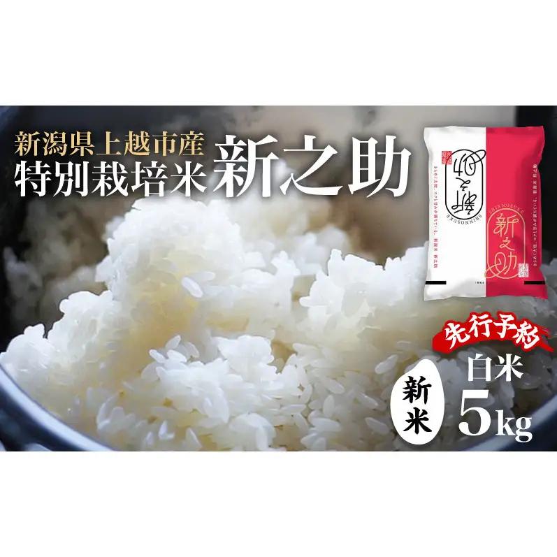 【先行予約】特別栽培米 新之助 5kg ふぁーむ大地 新之助