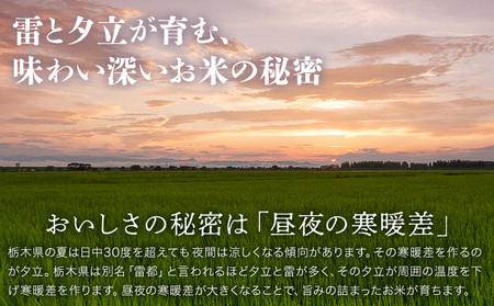 令和7年産 米 お米 とちぎの星 6ヶ月定期便 5kg JAおやま《30日以内に出荷予定(土日祝除く)》 栃木県 野木町産 コメ 米 ブランド米 とちぎのほし【栃木県共通返礼品】