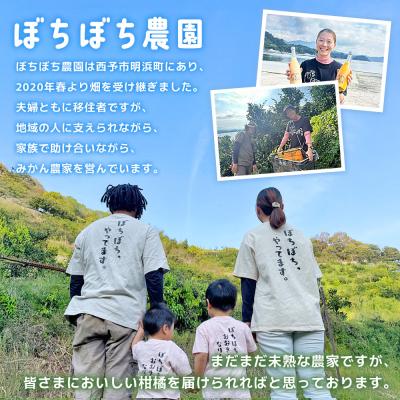 ふるさと納税 西予市 <ぼちぼち農園のレモン 家庭用 約3kg> 3キロ レモン れもん 檸檬 訳あり |  | 03