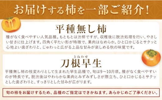 たねなし柿 訳あり 2kg 株式会社農業福祉研究機構《9月上旬-11月上旬頃出荷》和歌山県 紀の川市 送料無料 フルーツ 果物 柿 たねなし かき 旬 旬のフルーツ お取り寄せフルーツ ご家庭用