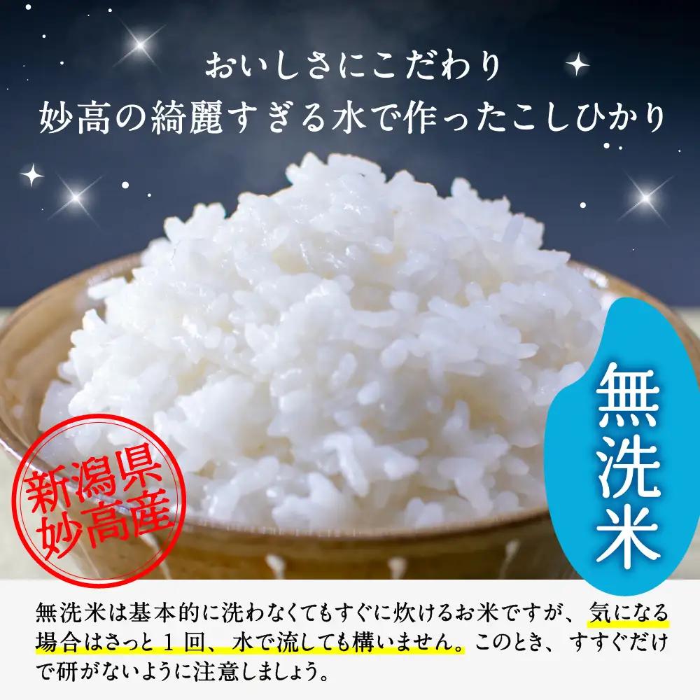 【2026年7月上旬発送】新潟県妙高産こしひかり「星降る里」10kg無洗米