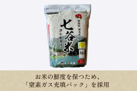 【定期便5ヶ月毎月お届け】【2024年先行予約】【令和6年産新米】老舗米穀店が厳選 新潟産 従来品種コシヒカリ「七谷米」無洗米4kg（2kg×2）窒素ガス充填パックで鮮度長持ち 金子米店 定期便 定期