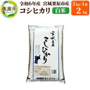 【ふるさと納税】【令和6年産・白米】宮城県栗原市産 コシヒカリ 2kg (2kg×1袋)