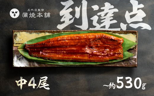 【土用の丑の日お届け】ふっくら肉厚！国産うなぎ 蒲焼 中 4尾 老舗 国産うなぎ セット 詰め合わせ 蒲焼 ウナギ うなぎ unagi 鰻