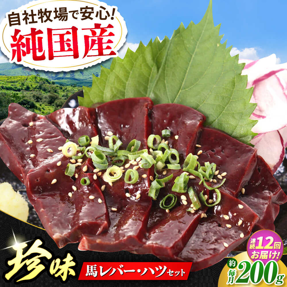 【ふるさと納税】【全12回定期便】『純国産』熊本の味 馬 珍味 セット 計約200g レバー ハツ 刺身馬肉 希少 熊本 生レバー 生ハツ 定期 定期便【有限会社 九州食肉産業】[AYCN106] 馬 うま 肉 九州 国産 熊本県 合志市
