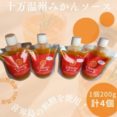 ふるさと納税 さつま町 十万温州みかんソース(計4本・1本200g)
