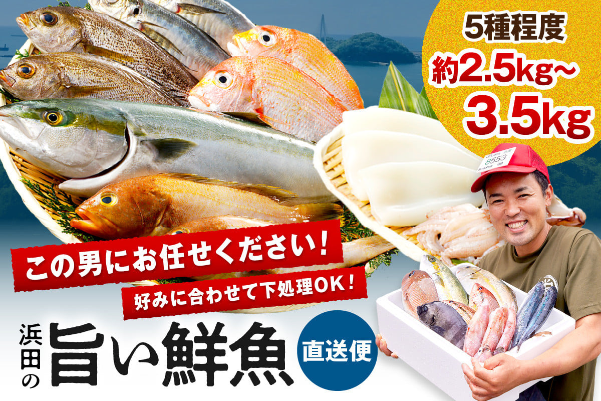 
            この男に任せてみませんか～浜田の旨い鮮魚直送便～ 海鮮 鮮魚 詰め合わせ セット おまかせ 人気 お取り寄せ 【006_0012】
          