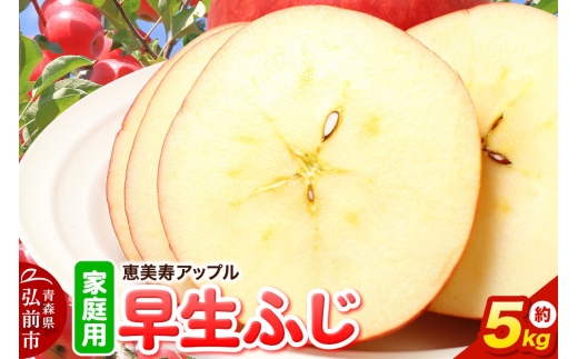 【26年10月発送】りんご【一足早くふじの味・早生ふじ】早生ふじ【家庭用】約5kg 先行受付 青森県 弘前市 果物 フルーツ 林檎 リンゴ くだもの 不揃い 規格外 [先行予約 産地直送 アップル おいしい 果実 美味 甘い 赤色]