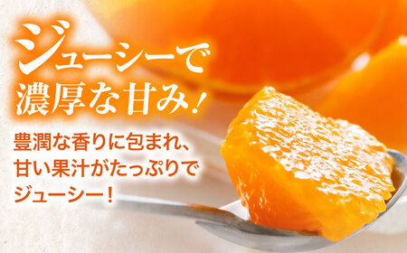  【11月下旬から順次発送】紅まどんな 赤秀 8個-12個入 柑橘 紅まどんな みかん 果物 フルーツ[AGBA002]