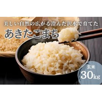 ふるさと納税 大仙市 秋田県大仙市産 沢水で育てた あきたこまち【玄米】30kg