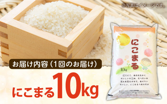 【 12回定期便 】 長崎県産 精米 にこまる 10kg 総計 120kg / 米 / 南島原市 / 大松屋商店 [SDR008]