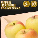 【ふるさと納税】12月発送 最高等級「特大玉特選」ぐんま名月 3玉 桐箱入【那由多のりんご園・平川市産】