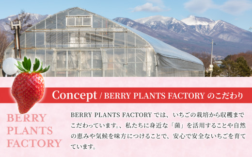 長野県産 いちご「とちおとめ」1kg以上｜BERRY PLANTS FACTORY 東御市