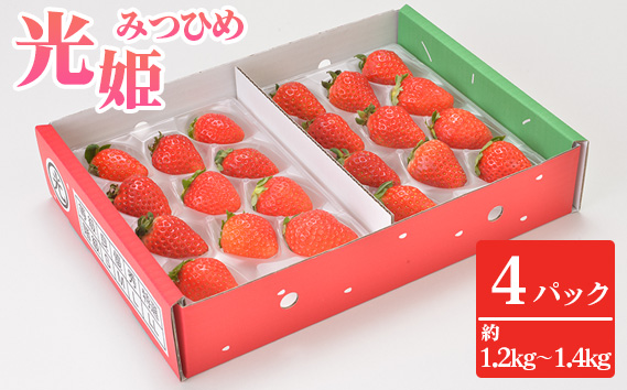 光姫（イチゴ）約1.2kg〜約1.4kg（4パック） ／ 苺 いちご 果物 大阪府 No.270