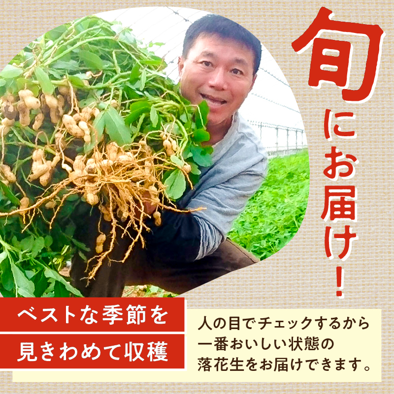 【先行受付 2025年9月中旬～11月中旬発送予定】『おおまさり 生落花生 4kg』農家直送！落花生 ピーナッツ 殻付き 千葉 おつまみ 大粒