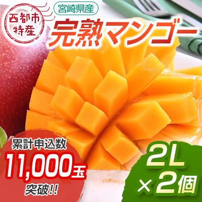 【先行予約】西都市産完熟マンゴー2Ｌ×2玉（約700ｇ）W＜1.2-39＞2025年発送