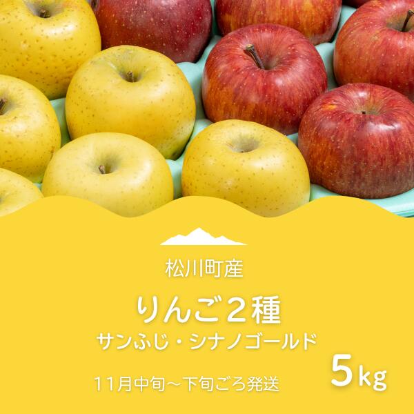 【ふるさと納税】りんご2種 詰め合わせ サンふじ・シナノゴールド（松川町産）秀品 約5キロ／2025年11月中旬～下旬頃 配送予定 // 長野県 松川町 甘い 新鮮 りんご ふじ サンフジ シナノゴールド 黄色りんご 詰め合わせ 贈答 食べ比べ AS10
