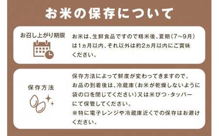 【令和7年産】神楽の郷　石見のこしひかり　5kg×2袋 米 お米 精米 白米 玄米 ごはん コシヒカリ お取り寄せ 特産 一等米 【058_1845】
