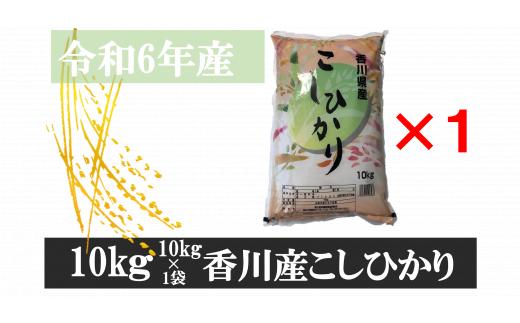 996-6　令和6年産香川県産こしひかり　10ｋｇ×1　紙袋配送【6月配送】