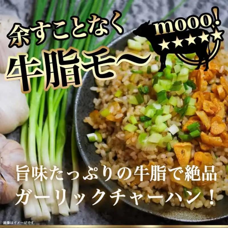 宮崎牛切り落とし600g〔AA-89-006-600g〕_(都城市) 国産黒毛和牛 ブランド牛 牛肉 宮崎牛切落とし肉 300g×2パック 計600グラム 牛丼や炒め物などに 万能 冷凍 国産 九州産