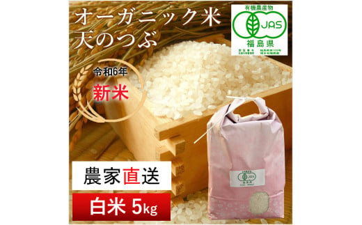 《 新米先行予約 》【 令和6年産米 】 南相馬 天のつぶ 5kg 5キロ JAS 有機米 根本有機農園 天のつぶ 白米 精米 新米 コメ ブランド米 福島 福島県産 低温貯蔵庫 送料無料 たんぱく質 旨い ふるさと納税 オンライン申請【3004301】