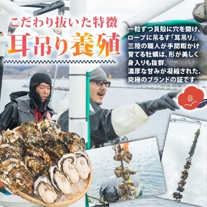 牡蠣 つばき姫 2kg 冷蔵 生食可 殻付き牡蠣 三陸ブランド牡蠣