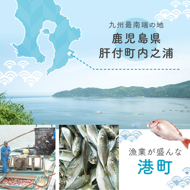 【A09002】魚屋さんの選んだ新鮮お魚詰め合わせ_イメージ3