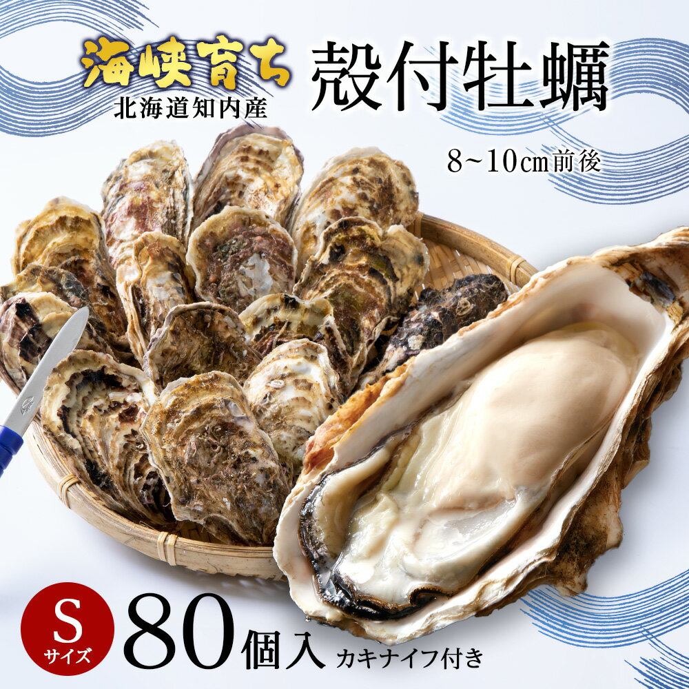 【ふるさと納税】【2025年3月中旬以降発送】海峡育ち 殻付き牡蠣 Sサイズ 80個入り カキナイフ付＜上磯郡漁業協同組合＞ 生牡蠣 かき カキ 貝 海鮮 BBQ 鍋 ギフト知内町 ふるさと納税 北海道産牡蠣 カキ 北海道 牡蠣 ふるさと納税牡蠣 牡蠣 産地直送