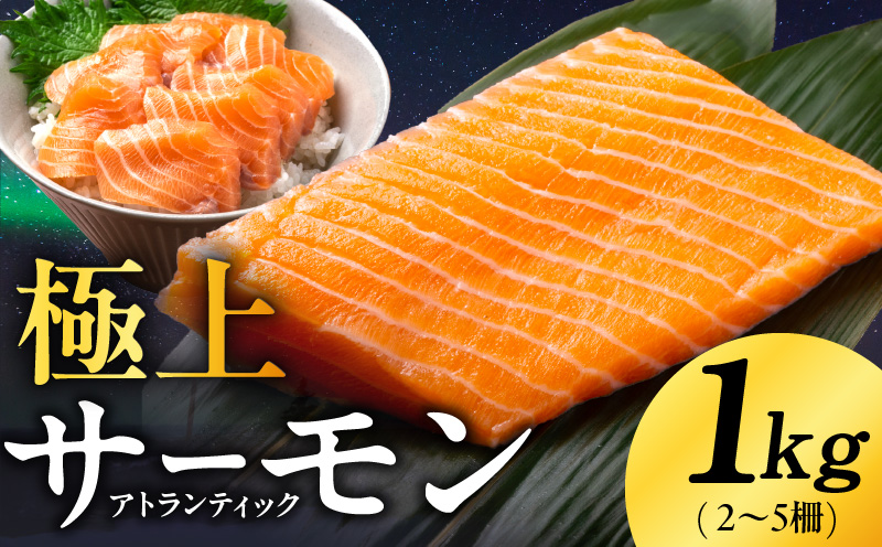極上 アトランティックサーモン 1kg【ノルウェー産 2〜5柵 訳あり サイズ不揃い 上質 刺身 海鮮丼 サラダ 冷凍 物価高応援 大阪 泉佐野 大阪府 泉佐野市】