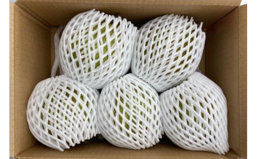 西洋梨（ラ・フランス）３ｋｇ　大玉　ご家庭用　0078-2603