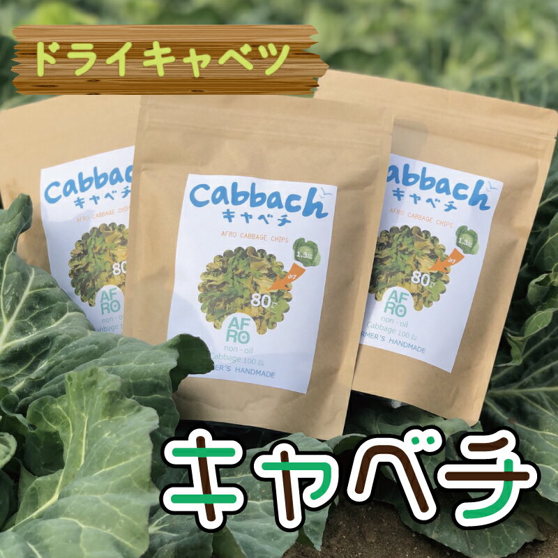 【ふるさと納税】 【先行予約】 ドライキャベツ キャベチ 3袋（2026年1月～配送）キャベツ アフロキャベツ 訳あり おつまみ お菓子 おやつ 野菜 銚子産 千葉県産 春キャベツ 生産量 旬の野菜 旬の味覚 甘い スープ カップラーメン 送料無料 千葉県 銚子市 くるくるやっほー